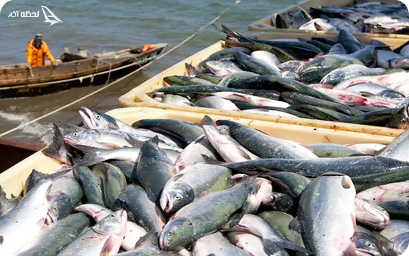 بازار ماهی فروشان خرمشهر