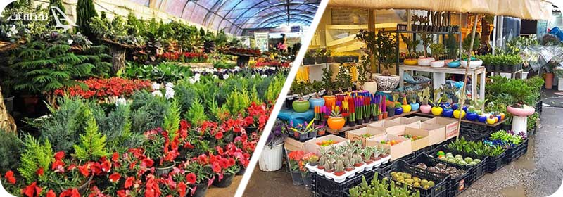 بازدید و دسترسی به بازار گل محلاتی تهران