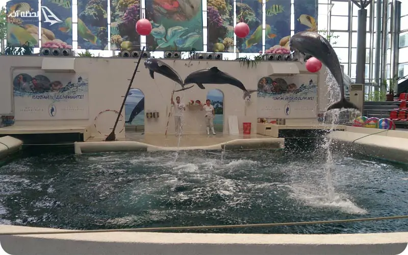 دلفیناریوم وارنا