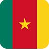پرچم کامرون
