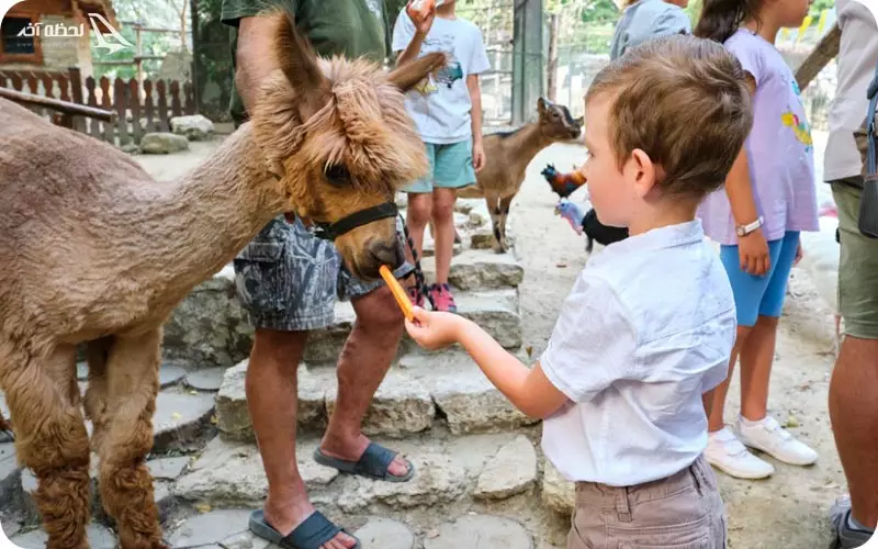 باغ وحش وارنا 