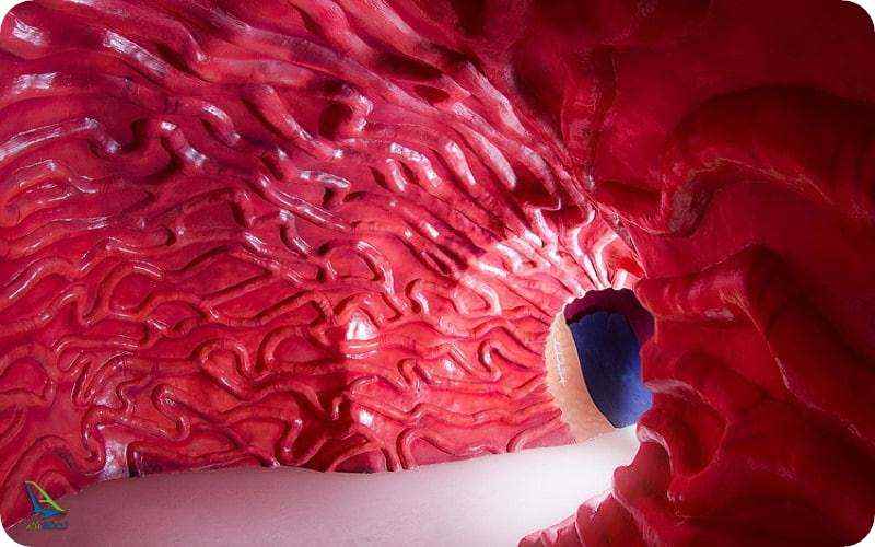 پارک موضوعی مشهد