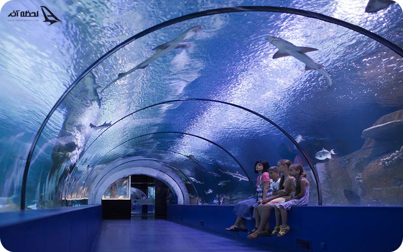 آکواریوم زیبای آنتالیا