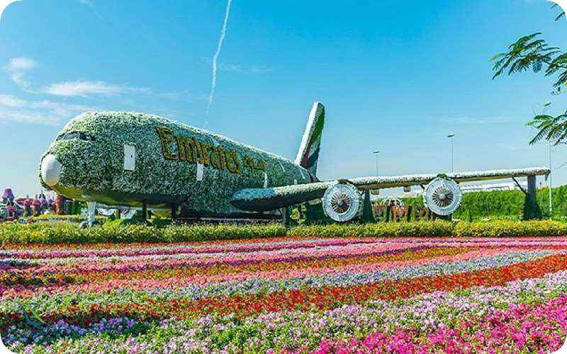 هواپیما باغ معجزه دبی