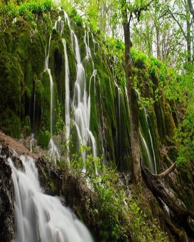 آبشار جنگل راش