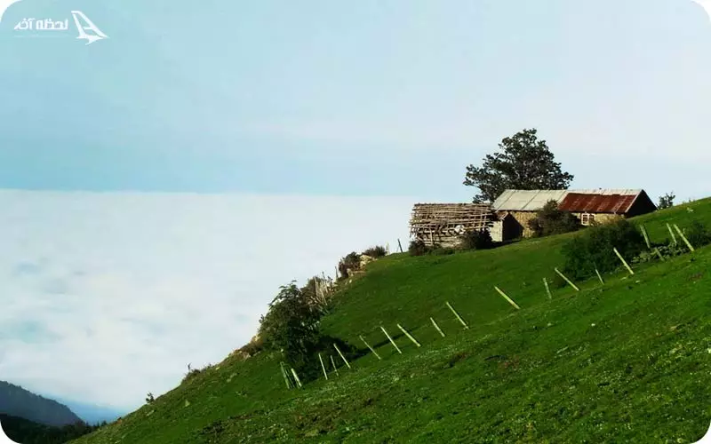 پدیده اقیانوسی