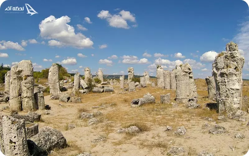 جنگل سنگی در وارنا بلغارستان