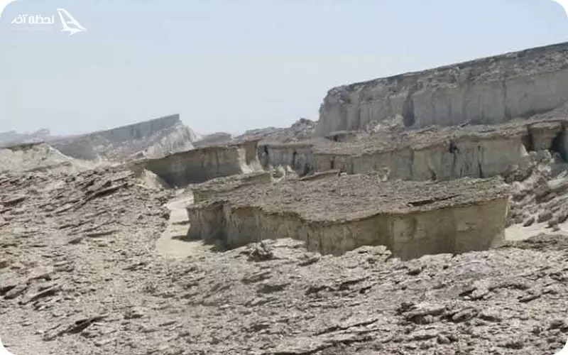 کاسه سلخ
