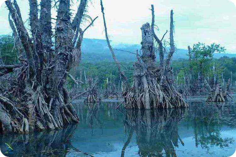 تالاب ارواح