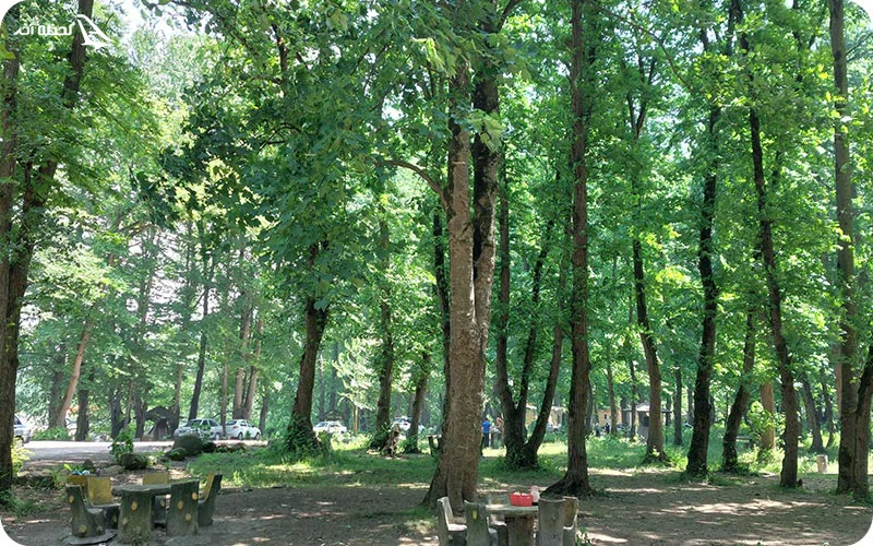 پارک جنگلی فین پارک جنگلی فین