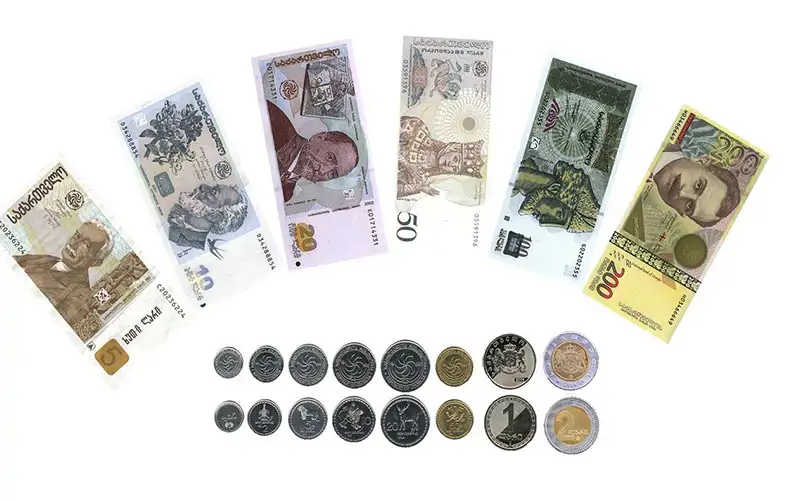 آیا می توان به گرجستان لاری برد؟