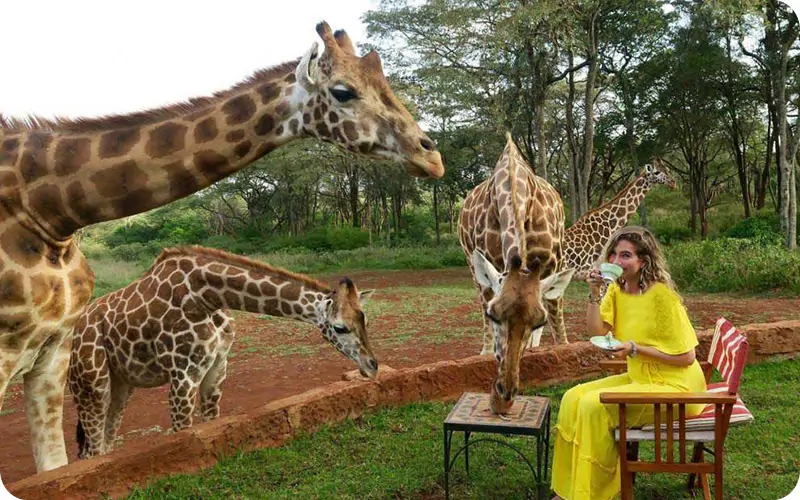 سفر دخترانه به کنیا