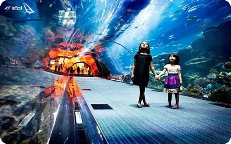 کشتی آکواریوم کیش؛ تماشای دنیای رنگی زیر آب