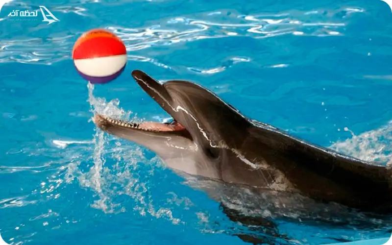 هزینه تفریحات کیش متنوع و متناسب با هر سلیقه ای است