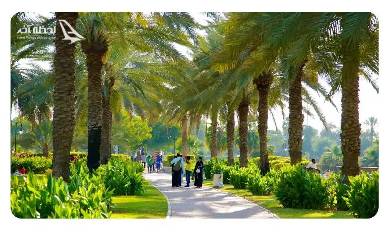 باغ بانوان پارک صفا باغ بانوان پارک صفا