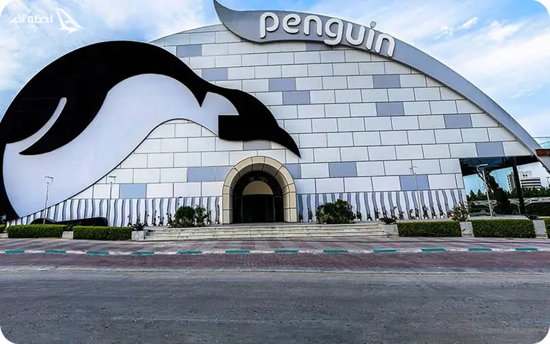 پارک برفی پنگوئن کیش لذت یک دنیا برف بازی