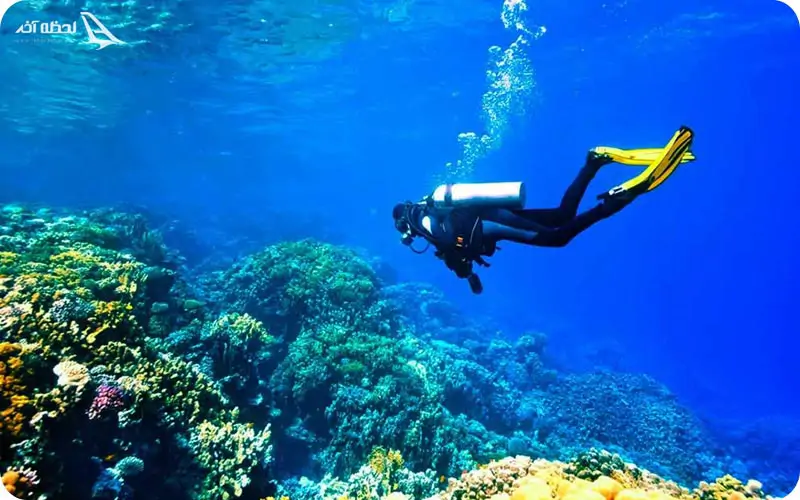 سایت های غواصی قشم