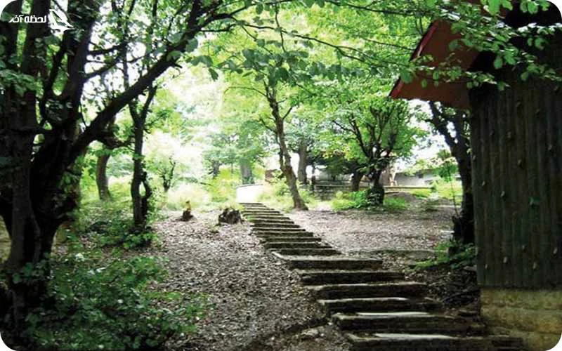 پارک جنگلی سرخه حصار؛ تصویری از پاییز تن طلایی