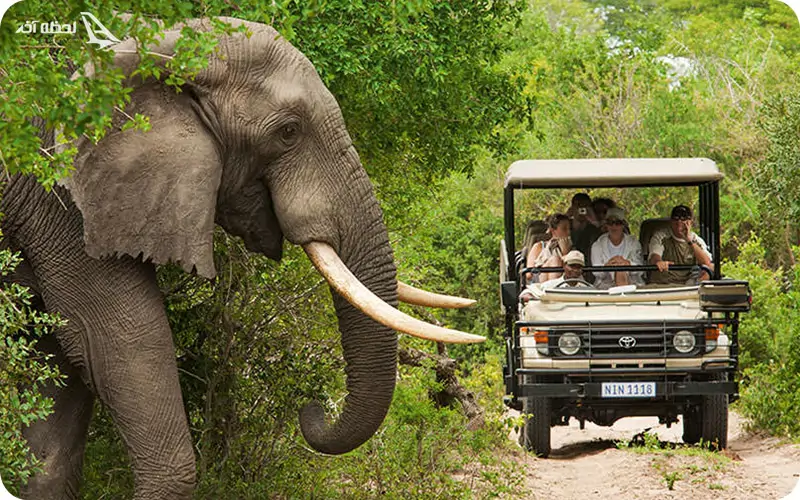 آفریقای جنوبی یک مقصد گردشگری هیجان انگیز برای تجربه اولین سفر خارجی