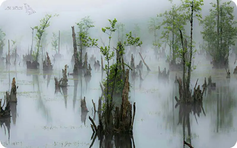 تالاب ارواح نوشهر