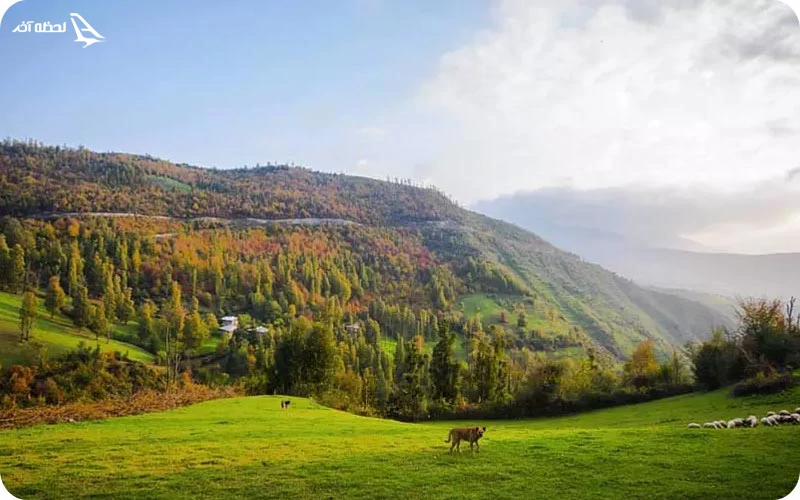 آب و هوای سی دشت