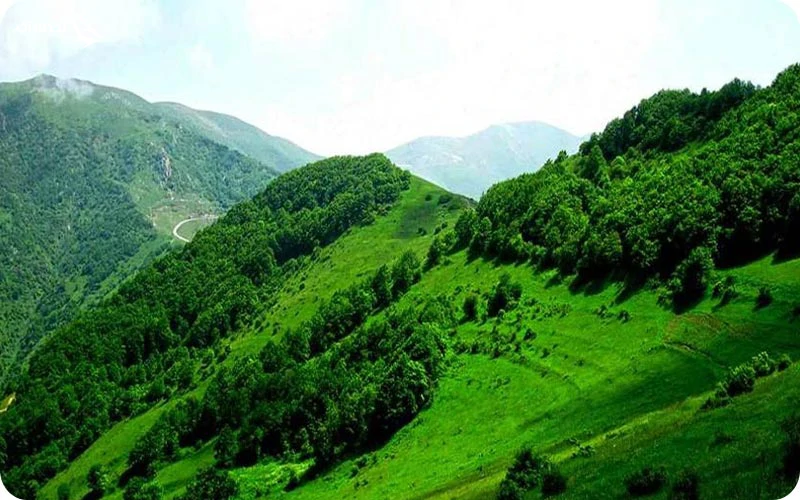 نکاتی که قبل از سفر به سنندج باید بدانید نکاتی که قبل از سفر به سنندج باید بدانید