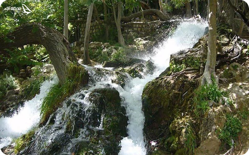 نکات مهم قبل از سفر به آبشار نیاسر نکات مهم قبل از سفر؛ تجربه سفری بیدغدغه