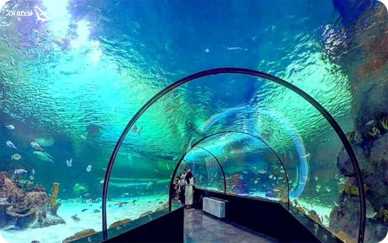 آکواریوم پروانه طلایی آکواریوم پروانه طلایی؛ دنیای رنگارنگ آبزیان نایاب