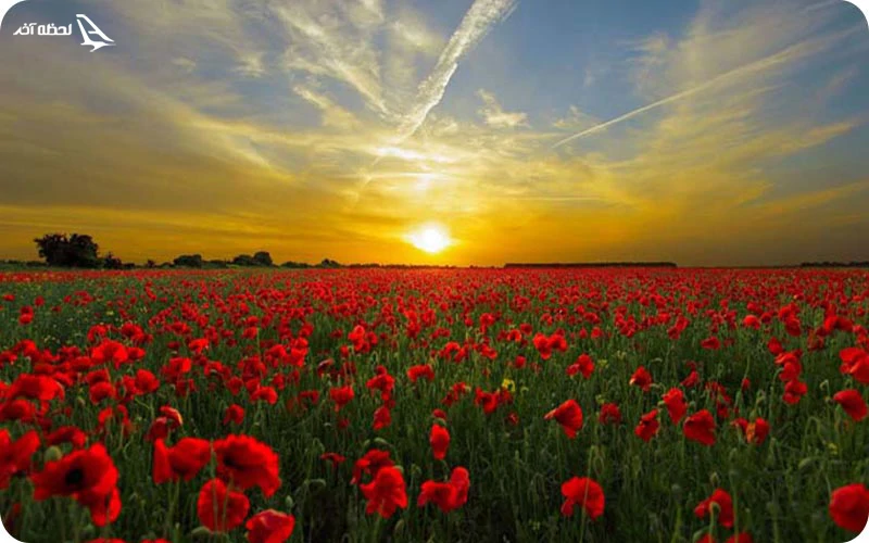 جاذبه های گردشگری اطراف آبشار لوه را بشناسید جاهای دیدنی اطراف آبشار لوه