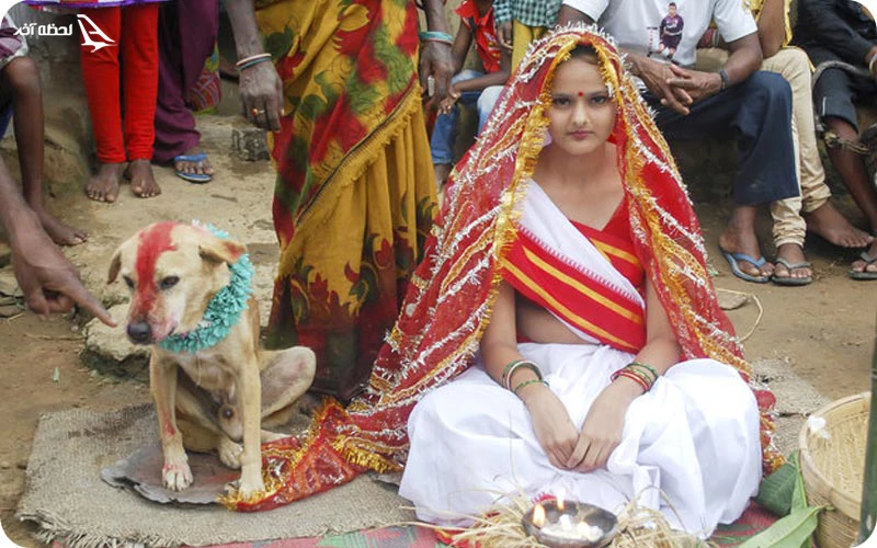 خرافات فراتر از حد خود میرود ازدواج با حیوانات