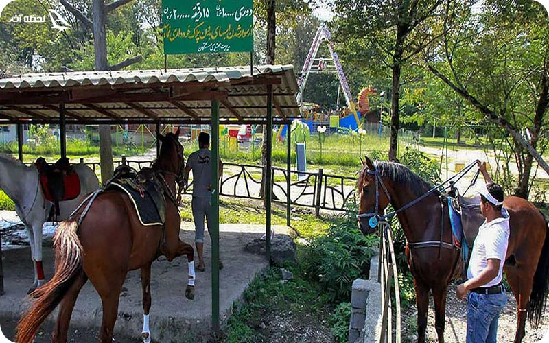 اسبسواری در جنگل های سیسنگان اسبسواری؛ سوارکاری در دل جنگل
