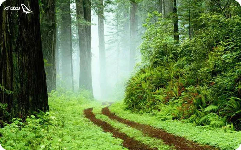 آشنایی با جاهای دیدنی صومعه سرا جاهای دیدنی صومعه سرا