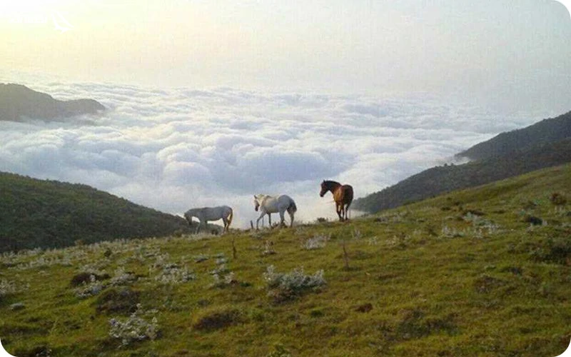 جواهردشت جواهردشت
