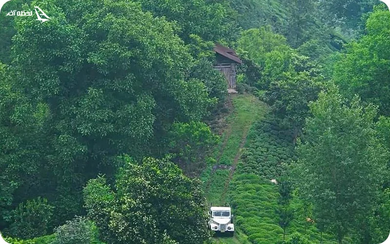 بهترین شهر ایران برای مسافرت در تابستان ایرانگردی در تابستان