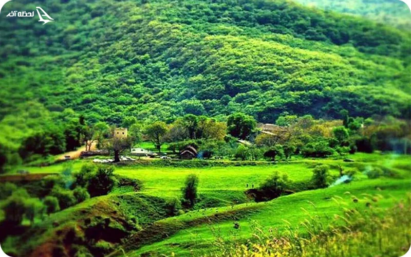 روستای افجه روستای افجه