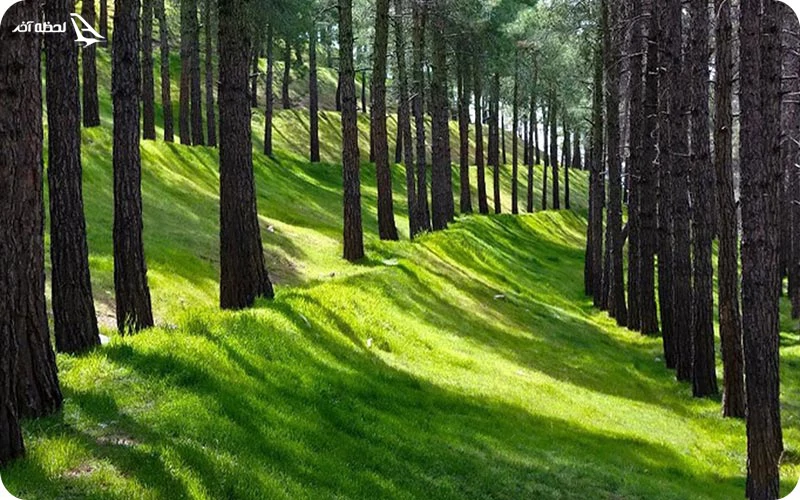 پارک لویزان