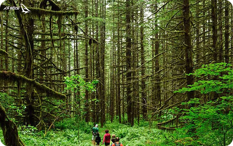طبیعت گردی در لرستان طبیعت لرستان