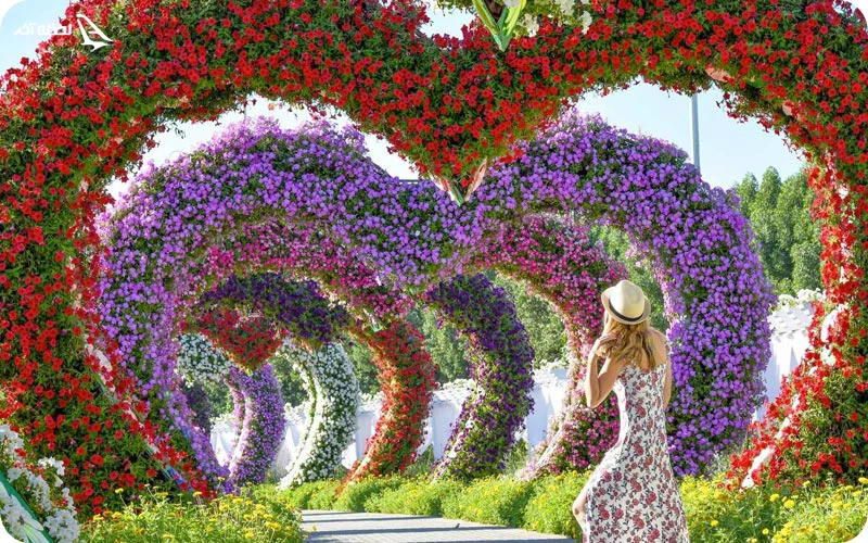 اطلاعات بازدید از میراکل گاردن دبی