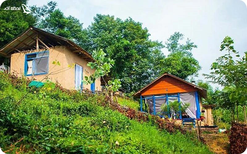 اقامت در جنگل ارسباران؛ لذت ماندن در طبیعتی بکر