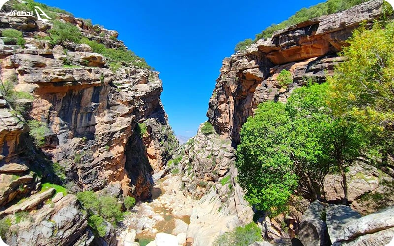 چه اقامتگاهی حوالی آبشار شوی وجود دارد؟