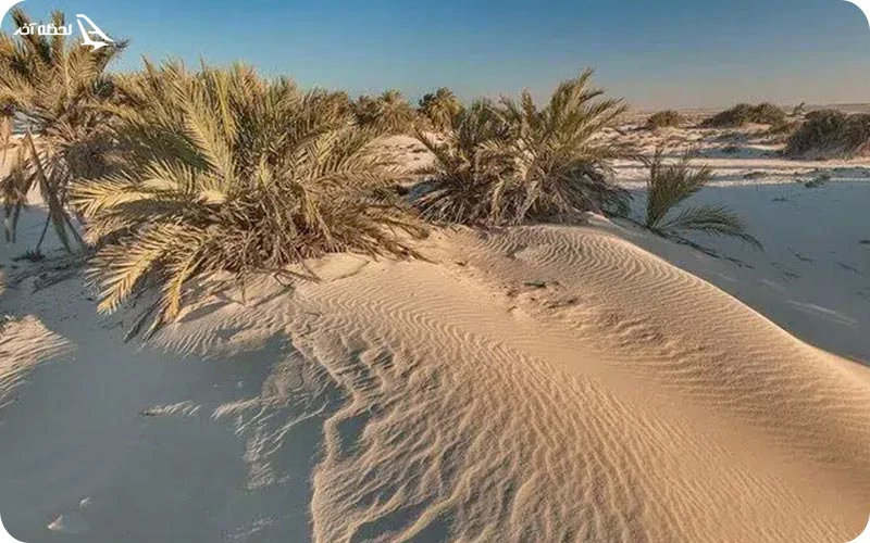 ام باب، بهترین ساحل دوحه برای خانواده ها ساحل ام باب