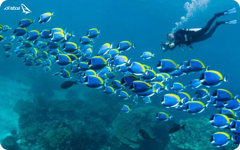 امکانات تفریحی جزیره لارک