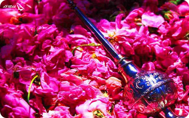 انواع گلاب؛ از سبک تا گلاب پس‌آب