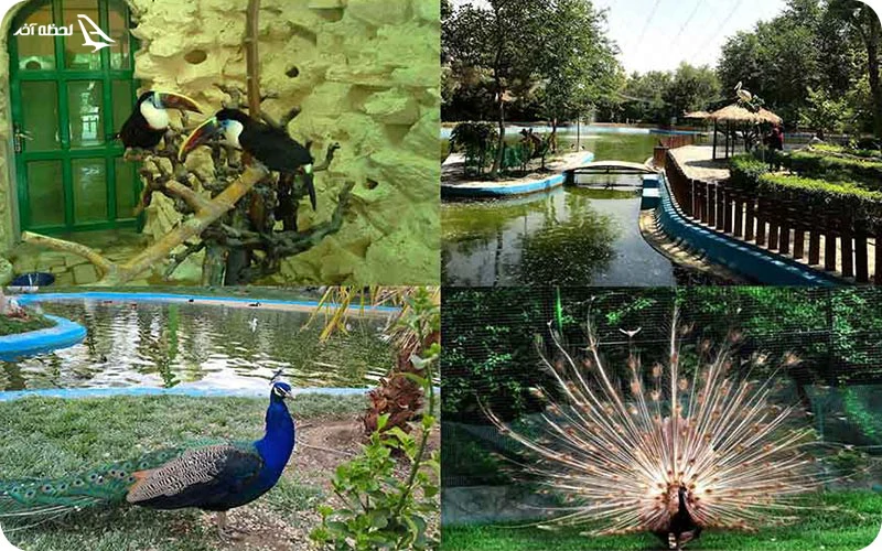 باغ پرندگان اصفهان باغ پرندگان اصفهان