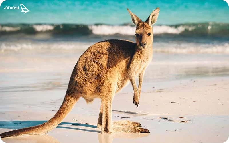 تور استرالیا تور استرالیا