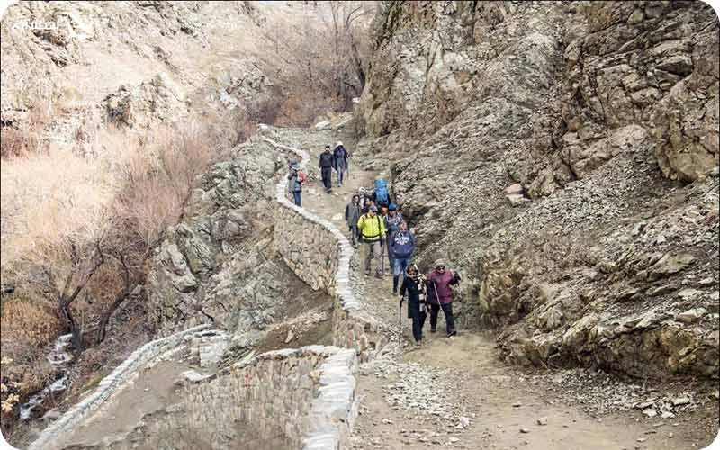 کوه دارآباد