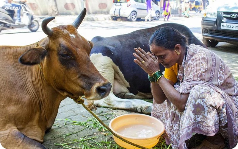 خرافات و رسوم عجیب هند خرافات و رسوم عجیب هند