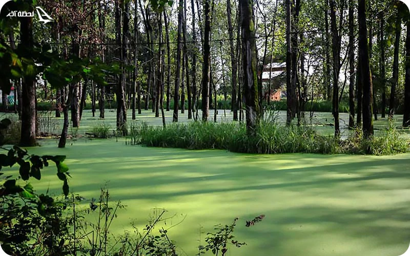 پارک جنگلی سراوان