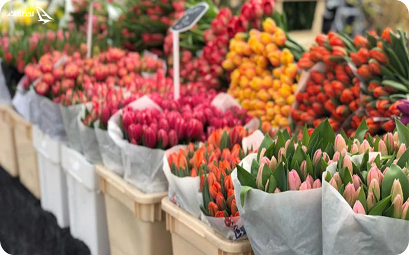 بازارهای گل تهران بازارهای گل تهران