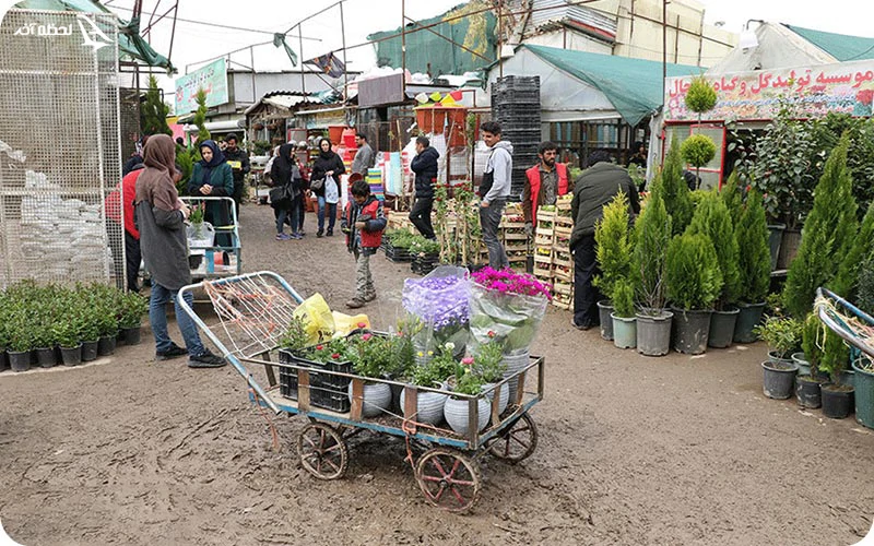 بازار گل شهید فکوری بازار گل شهید فکوری